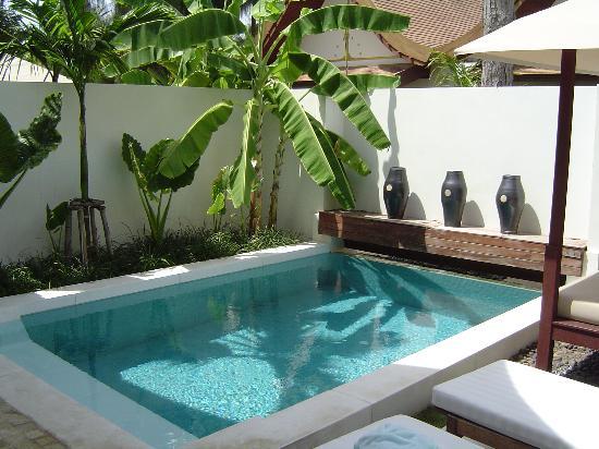 Villa Plunge Pools